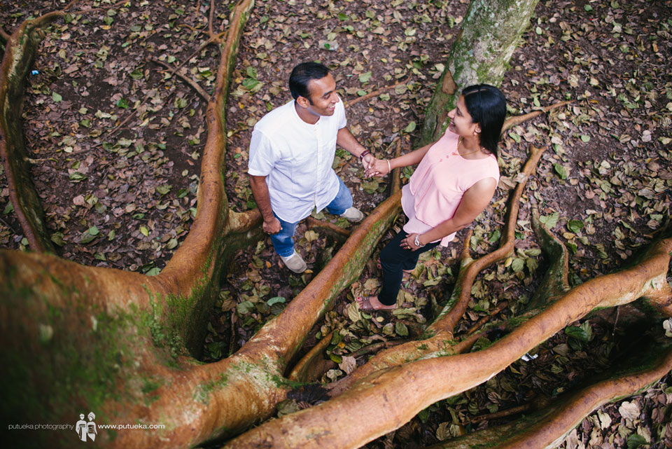 Their love flow through big tree roots