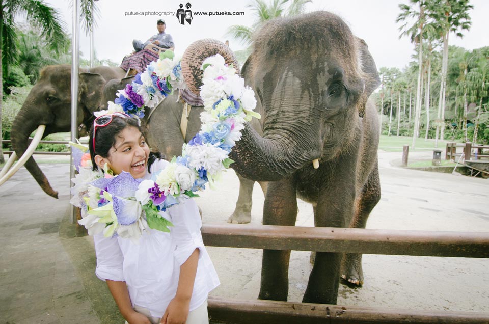 Little bit scary when the elephant put on the flower