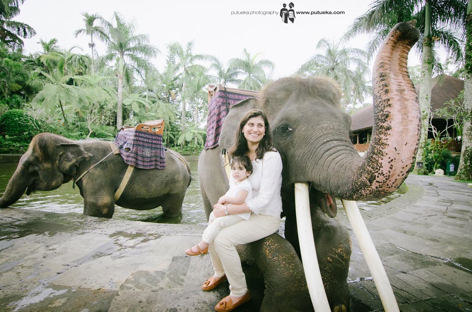 Sitting on the elephant front leg