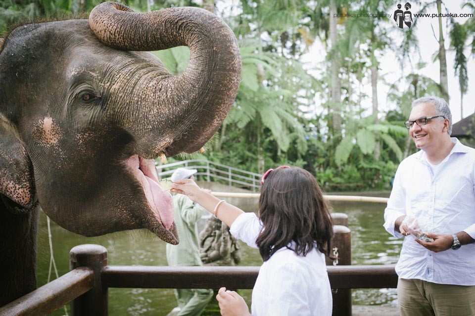 Big sister feeding the elephant