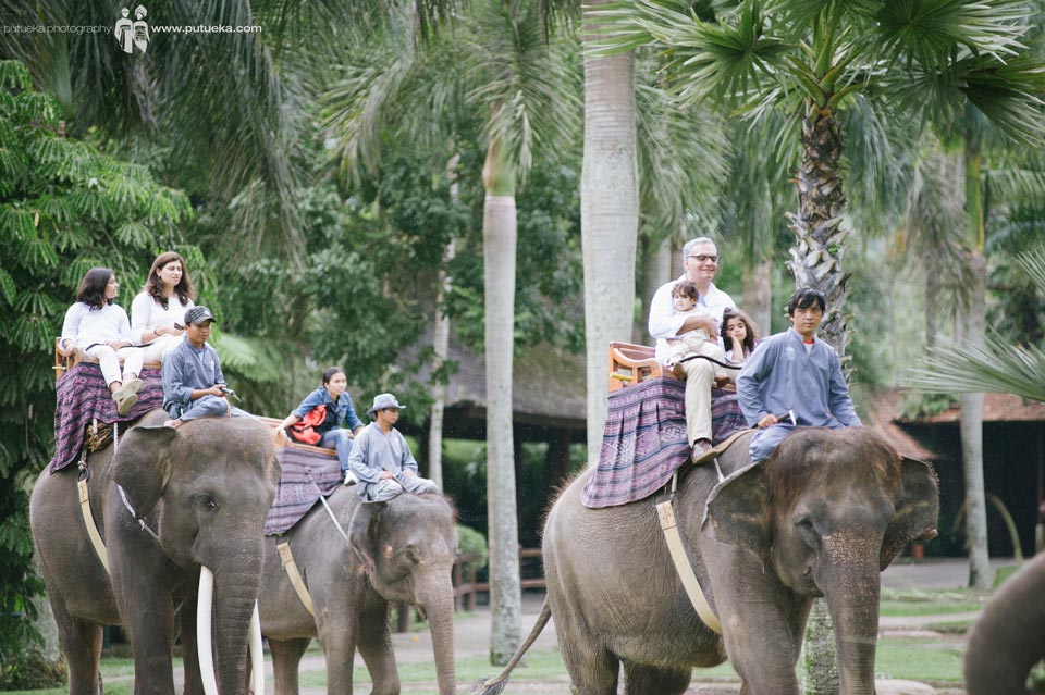 Unforgettable moment of riding elephant at Ubud Bali