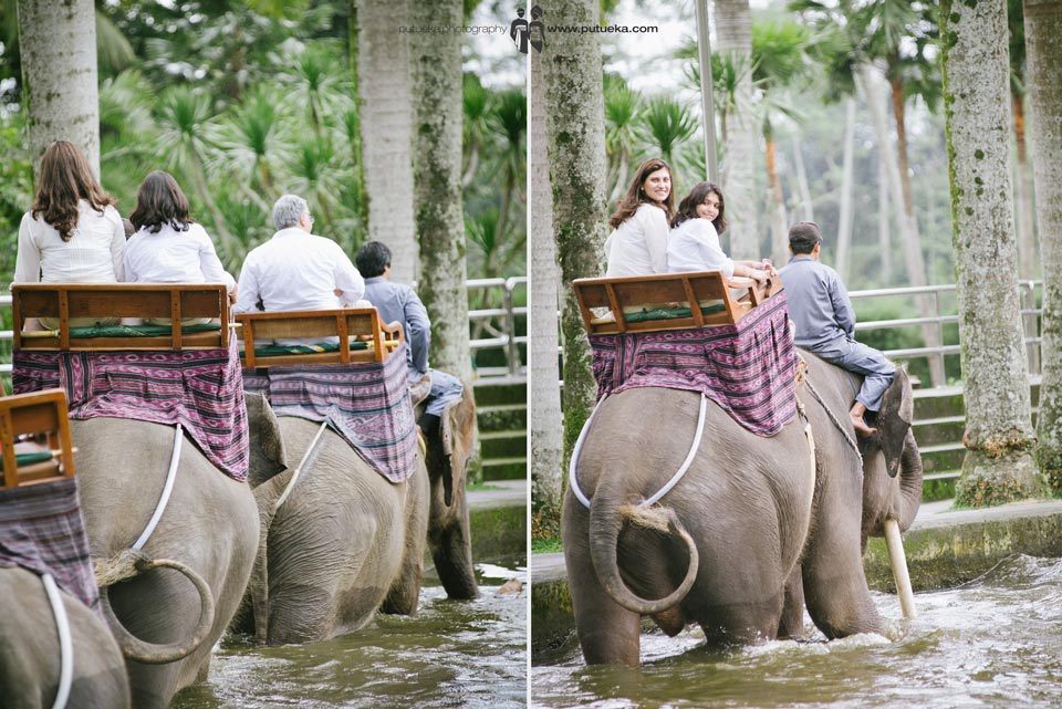 Bali family photography session when riding elephant safari at Ubud Bali