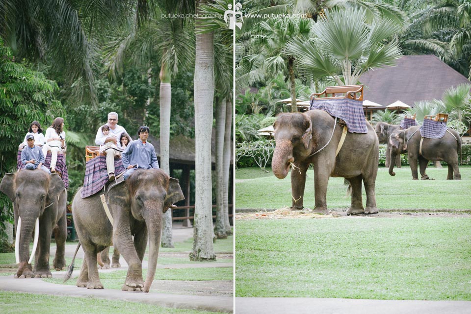 Riding elephant through the park