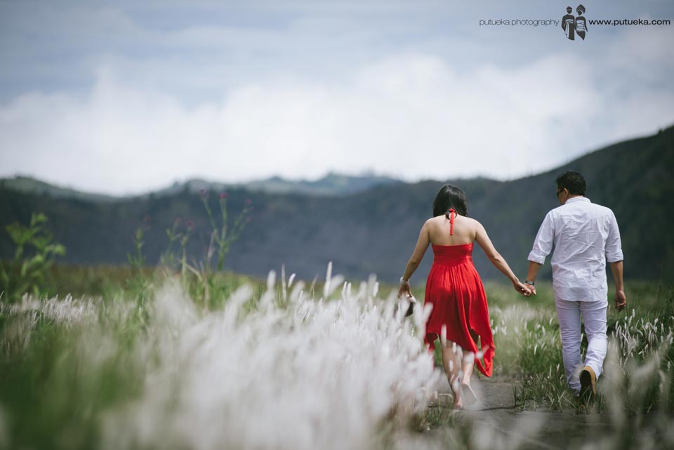 Bromo Java pre wedding photography in the middle grassland