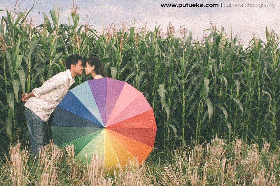 Kissing in front of Bali cornfield