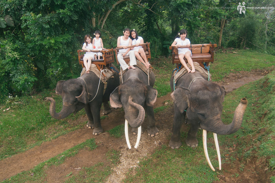 Whole family riding three of elephants