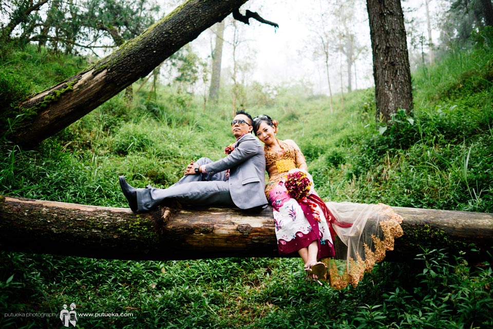 Sit down on big fallen tree at Kintamani Bali