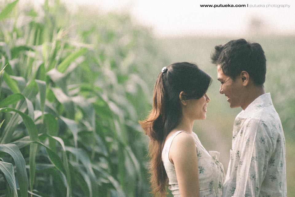 Cornfield engagement session with Prima and Sila
